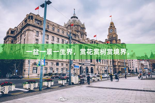 一盆一景一生界，赏花赏树赏境界，