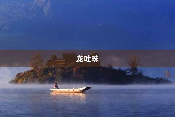 龙吐珠