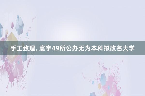 手工致理, 寰宇49所公办无为本科拟改名大学